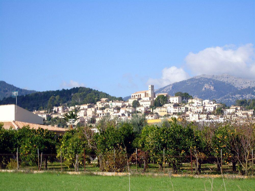 Finca Son Olive Selva  Exterior foto