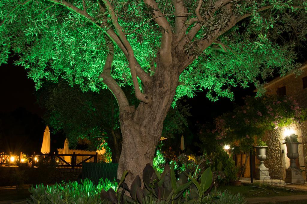 Finca Son Olive Selva  Exterior foto